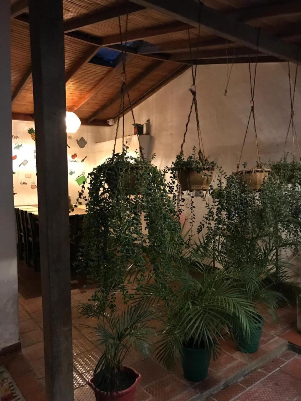 The Best Adventure Hostel San Gil Zewnętrze zdjęcie